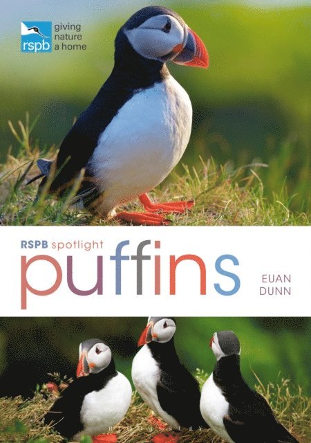 Euan Dunn - RSPB Spotlight: Puffins, E-bok. Tillgänglighet: Lägg i varukorg