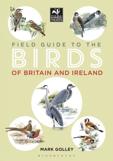 Mark Golley - Field Guide to the Birds of Britain and Ireland, E-bok