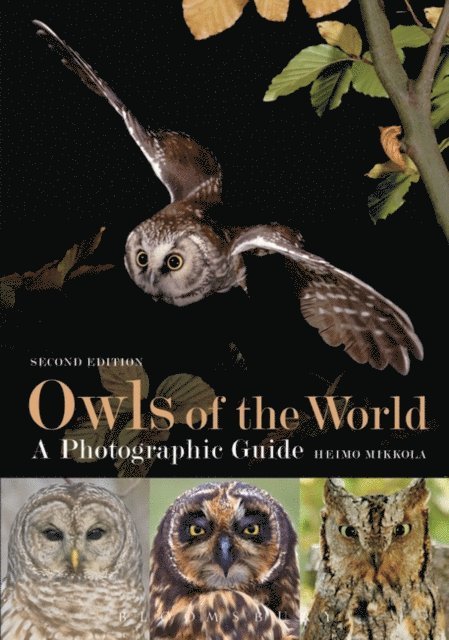 Heimo Mikkola - Owls of the World - A Photographic Guide, E-bok