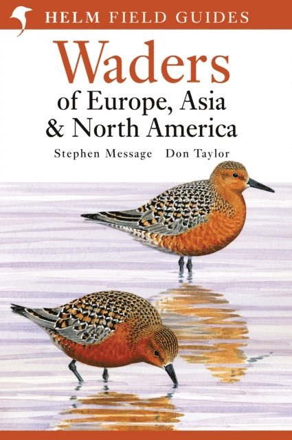 Don Taylor - Field Guide to Waders of Europe, Asia and North America, E-bok