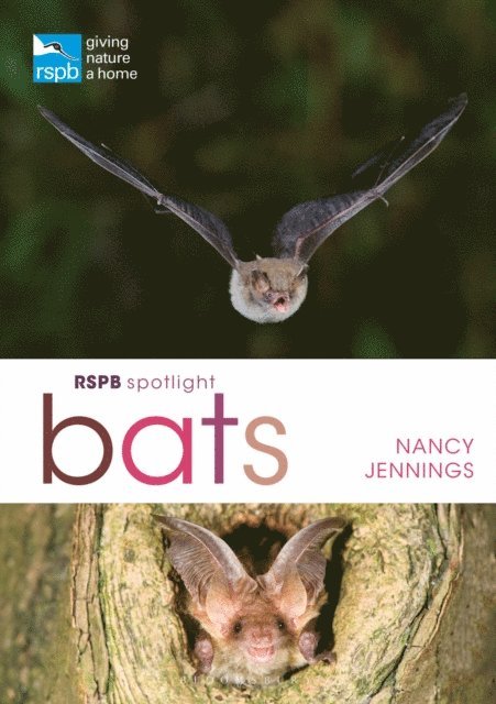Nancy Jennings - RSPB Spotlight Bats, E-bok