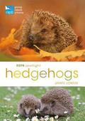 RSPB Spotlight Hedgehogs