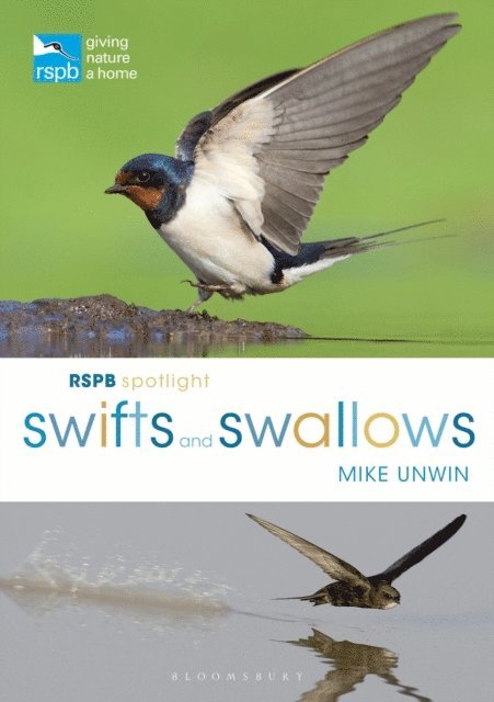 Mike Unwin - RSPB Spotlight Swifts and Swallows, E-bok