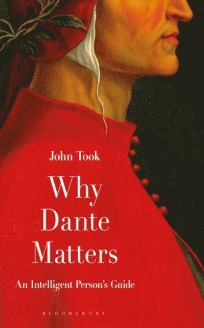 John Took - Why Dante Matters, E-bok