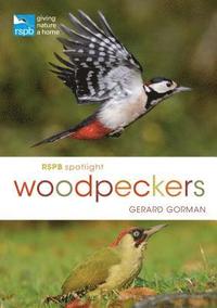 RSPB Spotlight Woodpeckers