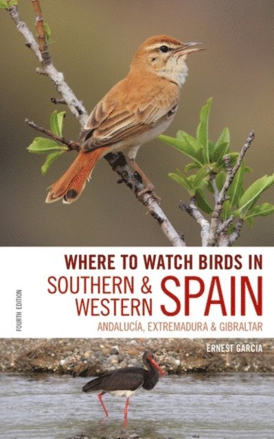 Ernest Garcia, Andrew Paterson - Where to Watch Birds in Southern and Western Spain, E-bok
