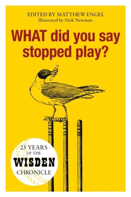 Matthew Engel - WHAT Did You Say Stopped Play?, E-bok