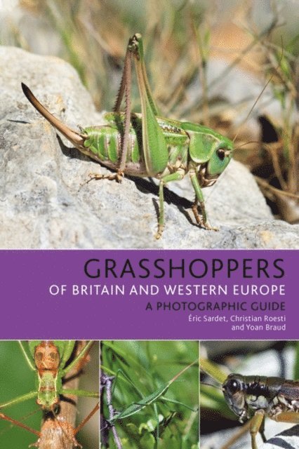 Éric Sardet, Christian Roesti, Yoan Braud - Grasshoppers of Britain and Western Europe, E-bok