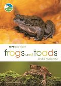 RSPB Spotlight Frogs and Toads