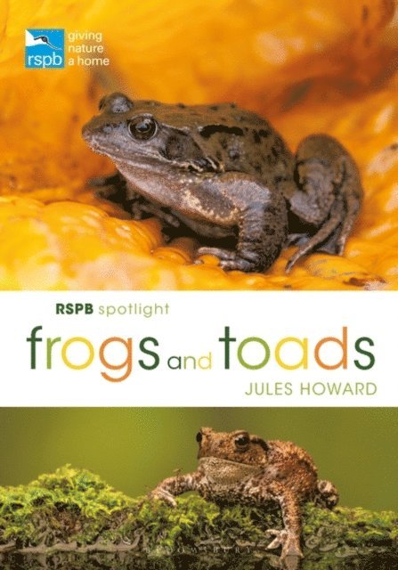 Jules Howard - RSPB Spotlight Frogs and Toads, E-bok