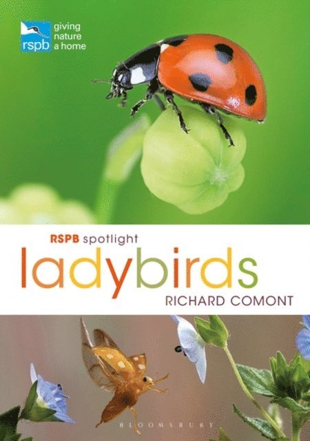 Richard Comont - RSPB Spotlight Ladybirds, E-bok
