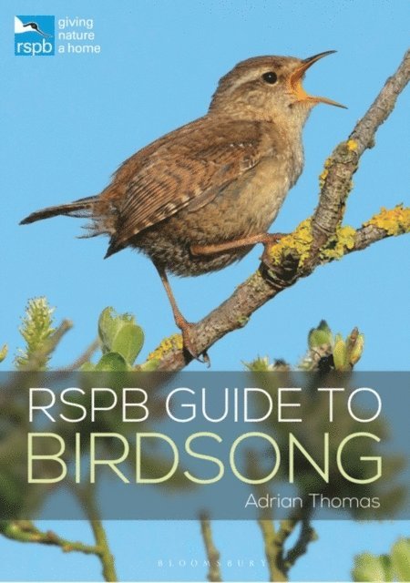 Adrian Thomas - RSPB Guide to Birdsong, E-bok