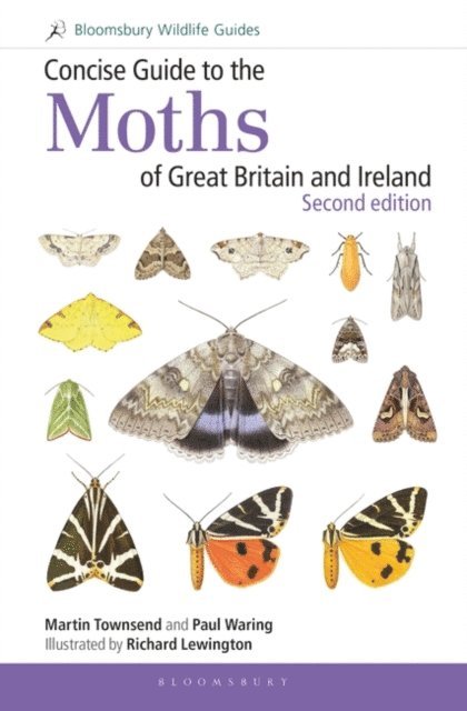 Martin Townsend, Paul Waring - Concise Guide to the Moths of Great Britain and Ireland: Second edition, E-bok