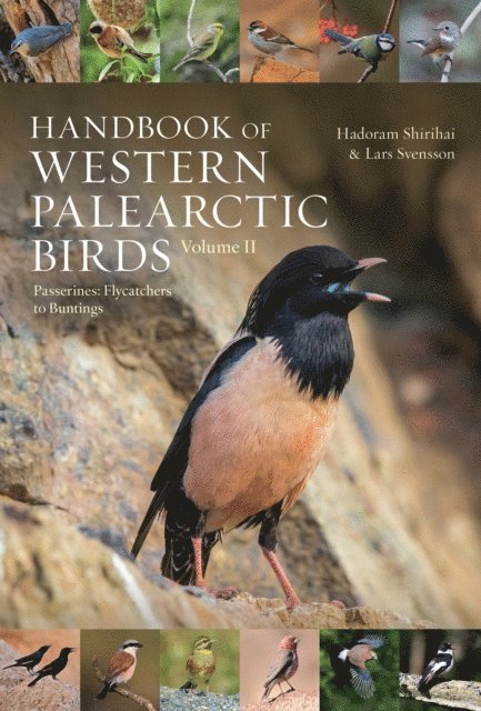 Lars Svensson, Hadoram Shirihai - Handbook of Western Palearctic Birds, Volume 2, E-bok