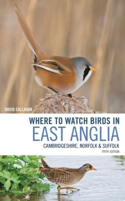 David Callahan - Where to Watch Birds in East Anglia, E-bok