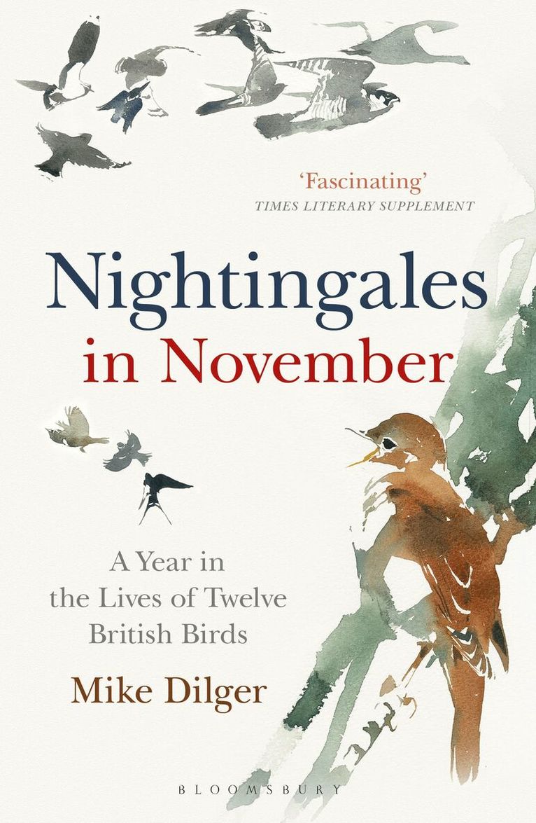 Mike Dilger - Nightingales in November, Häftad. Tillgänglighet: Lägg i varukorg