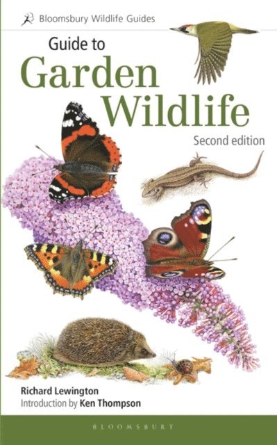 Richard Lewington - Guide to Garden Wildlife (2nd edition), E-bok