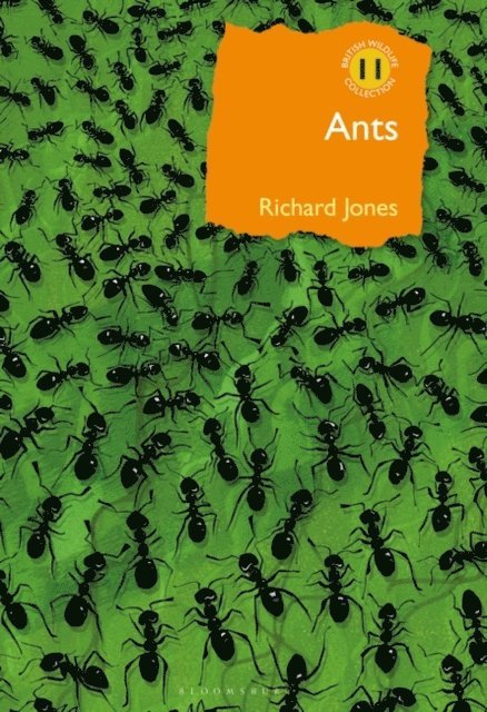 Richard Jones - Ants, E-bok