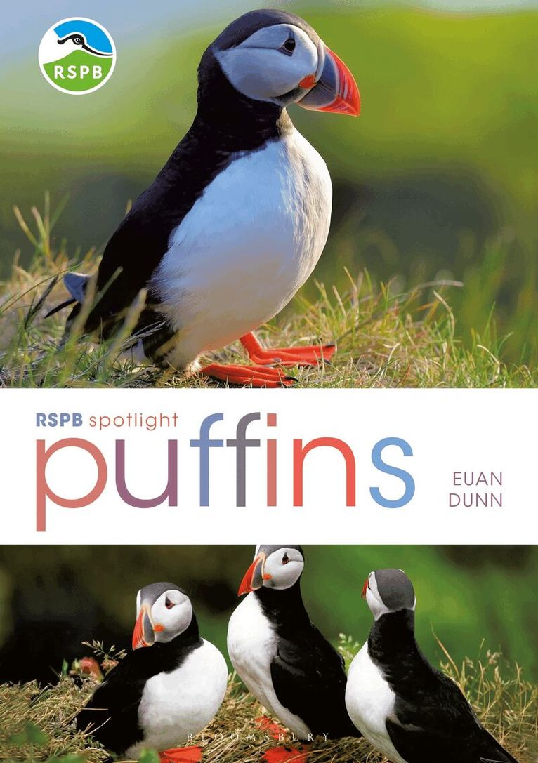 Euan Dunn - RSPB Spotlight: Puffins, Häftad. Tillgänglighet: Lägg i varukorg