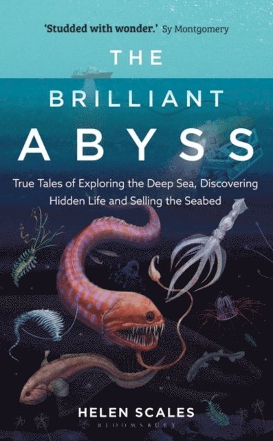 Helen Scales - Brilliant Abyss, E-bok