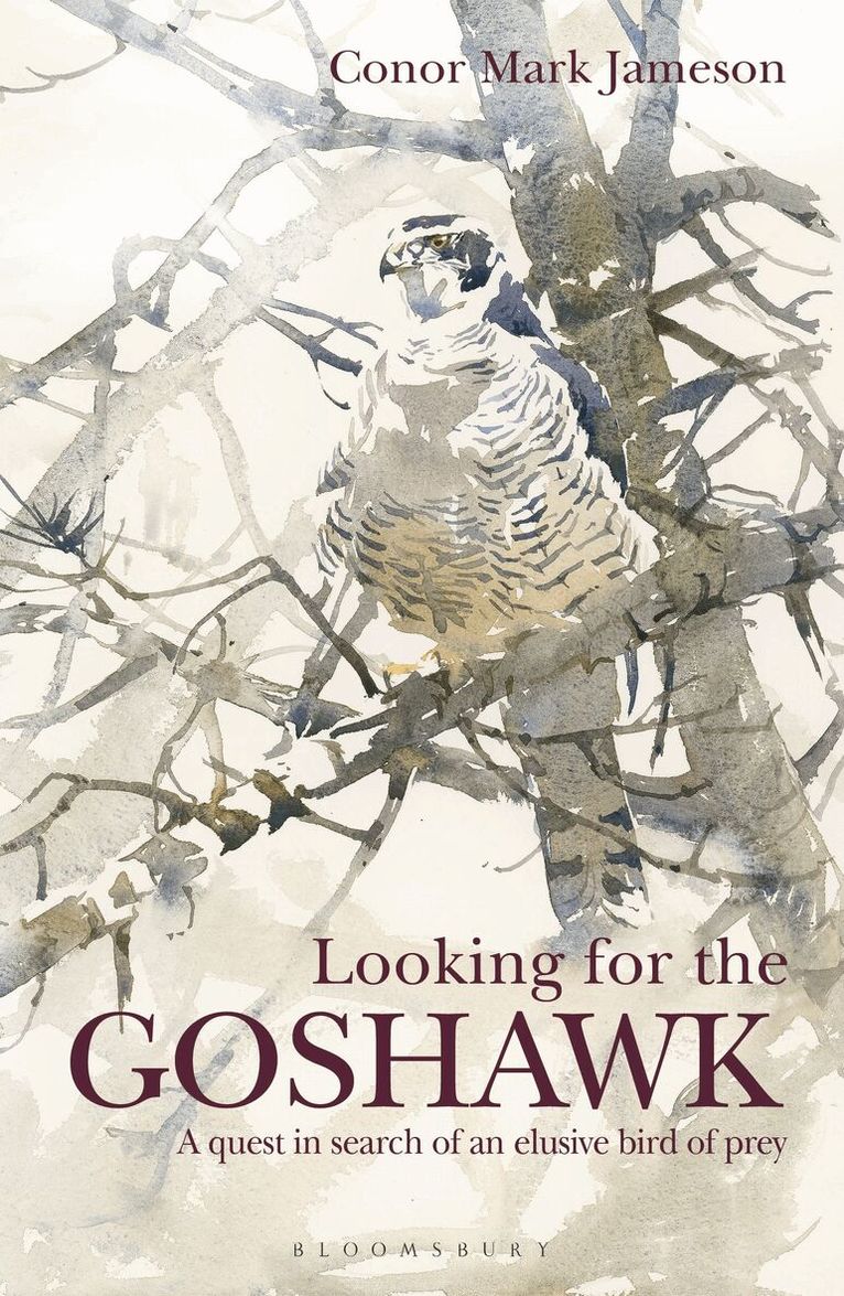 Conor Mark Jameson - Looking for the Goshawk, Häftad. Tillgänglighet: Lägg i varukorg
