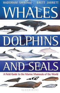 Whales, Dolphins and Seals
