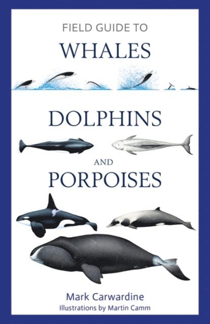 Mark Carwardine - Field Guide to Whales, Dolphins and Porpoises, E-bok