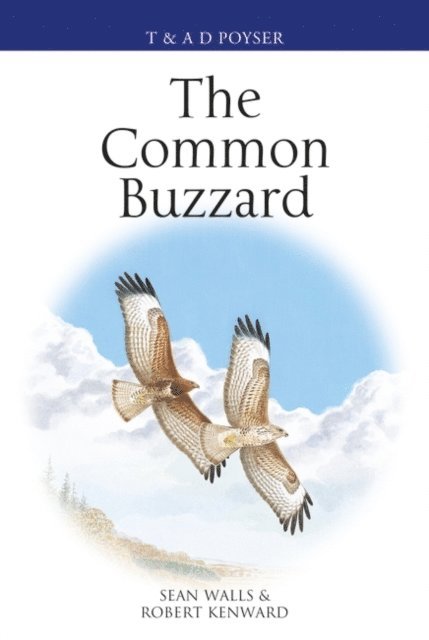 Sean Walls, Robert Kenward - Common Buzzard, E-bok