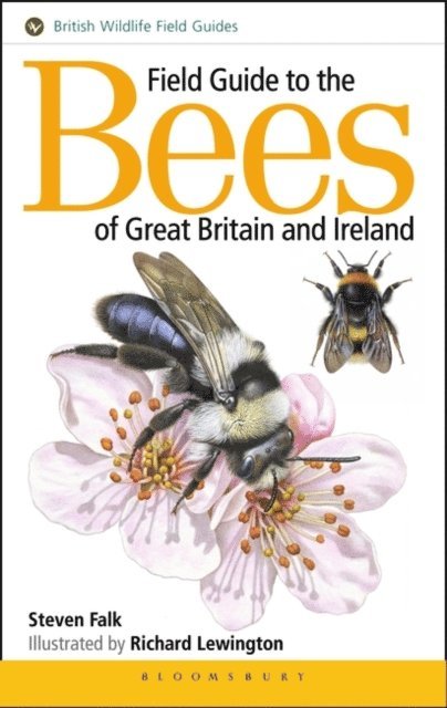 Steven Falk - Field Guide to the Bees of Great Britain and Ireland, E-bok