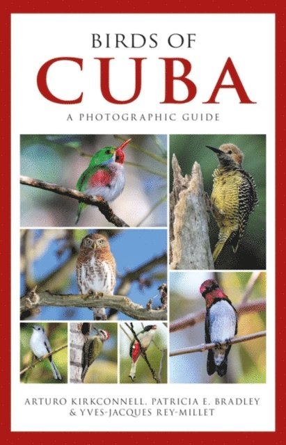 Arturo Kirkconnell, Patricia E. Bradley, Yves-Jacques Rey-Millet - Photographic Guide to the Birds of Cuba, E-bok