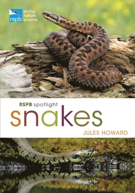 Jules Howard - RSPB Spotlight Snakes, E-bok