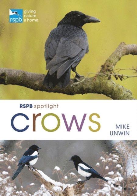 Mike Unwin - RSPB Spotlight Crows, E-bok