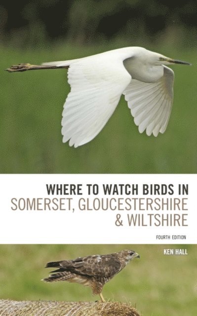 Ken Hall - Where To Watch Birds in Somerset, Gloucestershire and Wiltshire, E-bok