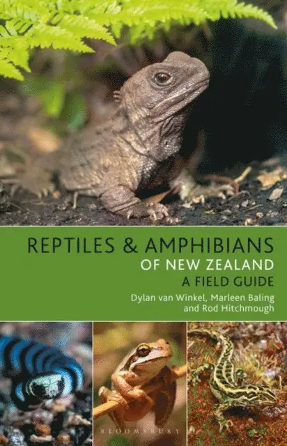 Dylan van Winkel - Reptiles and Amphibians of New Zealand, E-bok. Tillgänglighet: Lägg i varukorg