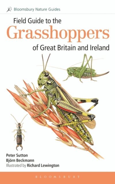Peter Sutton, Björn Beckmann - Field Guide to the Grasshoppers and Allies of Great Britain and Ireland, E-bok