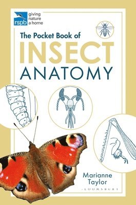 Pocket Book of Insect Anatomy av Marianne Taylor