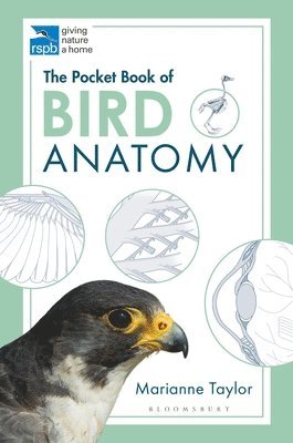 Pocket Book of Bird Anatomy av Marianne Taylor