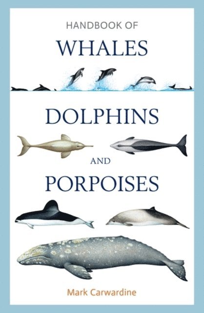 Mark Carwardine - Handbook of Whales, Dolphins and Porpoises, E-bok