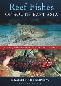 Reef Fishes of South-East Asia
