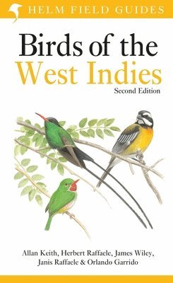 Field Guide to Birds of the West Indies av Allan Keith, Herbert A Raffaele, Janis Raffaele, James Wiley, Orlando H Garrido