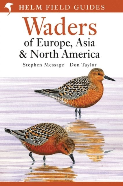 Don Taylor - Field Guide to Waders of Europe, Asia and North America, E-bok