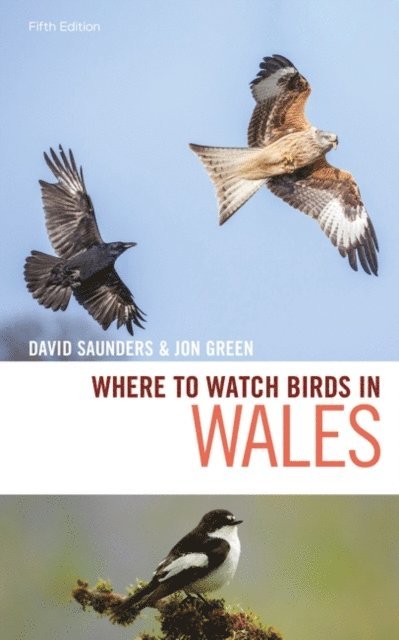 David Saunders, Jon Green - Where to Watch Birds in Wales, E-bok