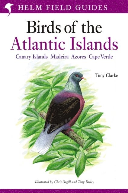 Tony Clarke - Field Guide to the Birds of the Atlantic Islands, E-bok