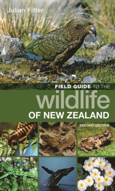 Julian Fitter - Field Guide to the Wildlife of New Zealand, E-bok