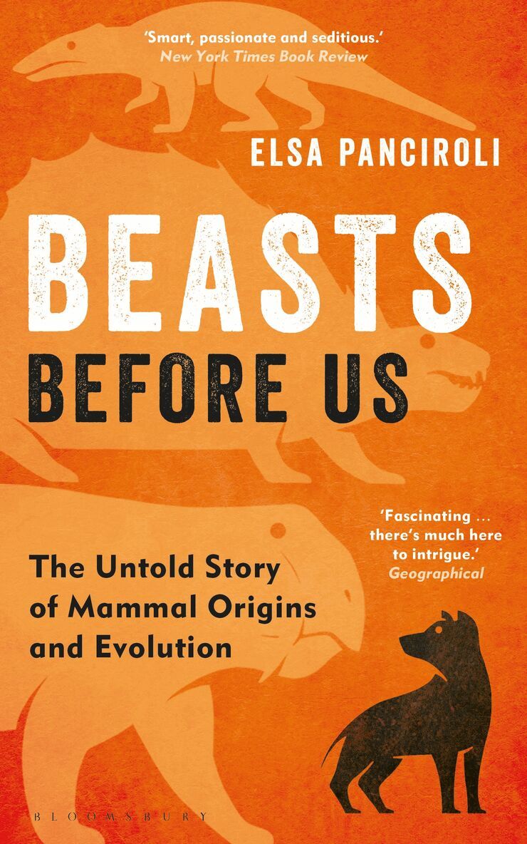 Elsa Panciroli - Beasts Before Us, Häftad