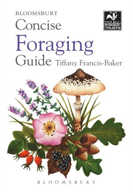 Tiffany Francis-Baker - Concise Foraging Guide, E-bok