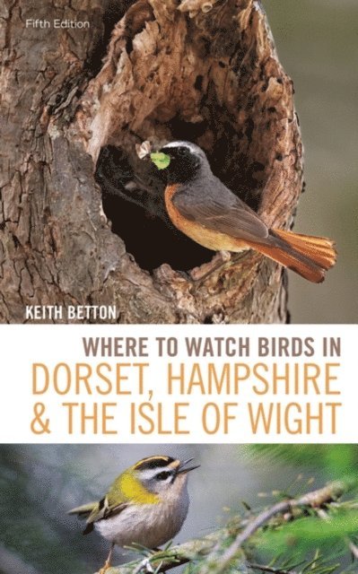 Keith Betton - Where to Watch Birds in Dorset, Hampshire and the Isle of Wight, E-bok