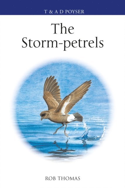 Rob Thomas - Storm-petrels, E-bok