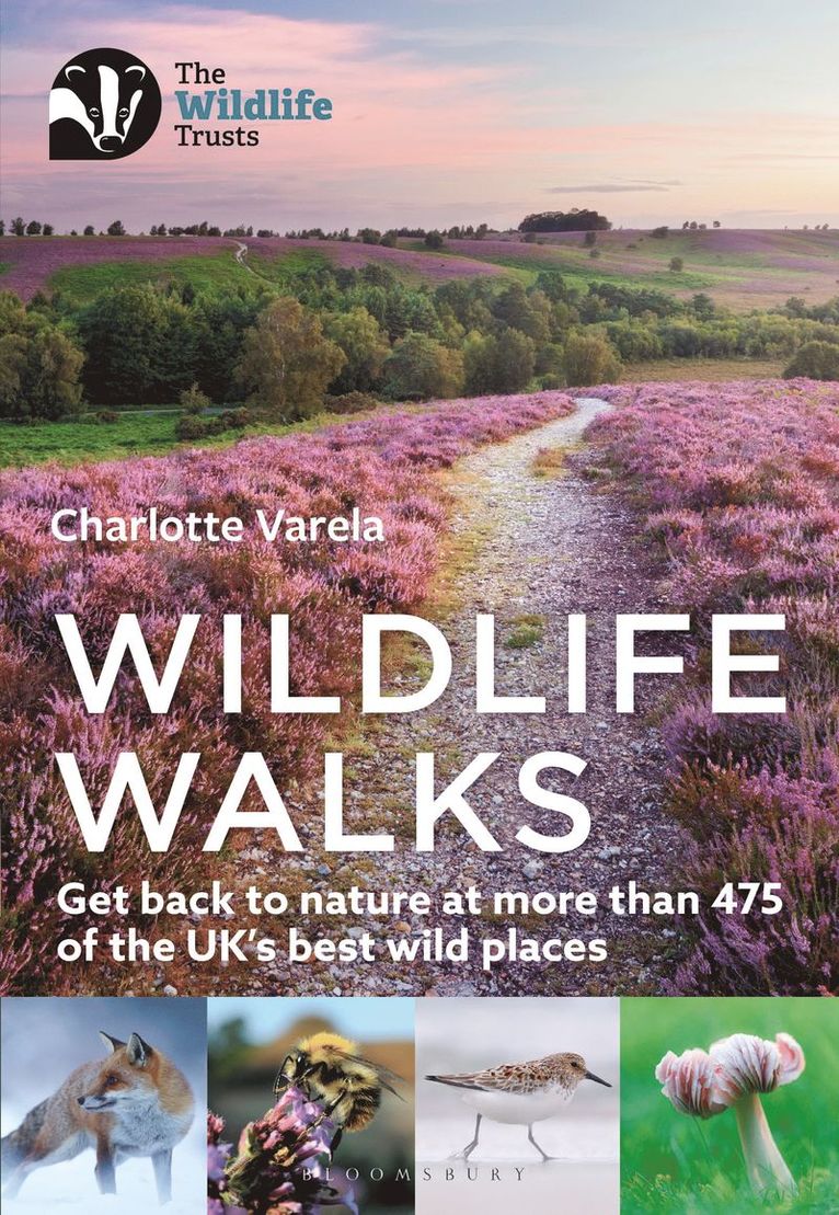 Charlotte Varela - Wildlife Walks, Häftad