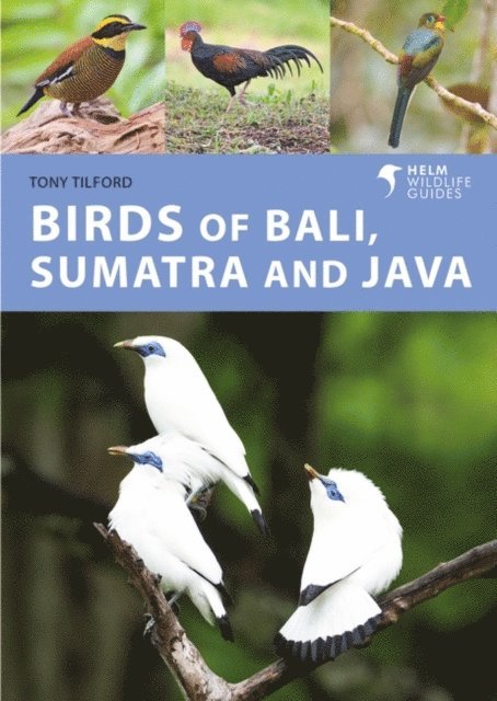 Tony Tilford - Birds of Bali, Sumatra and Java, E-bok